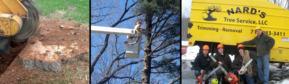 Stump removal, branch trimming, the Nard's Tree service crew